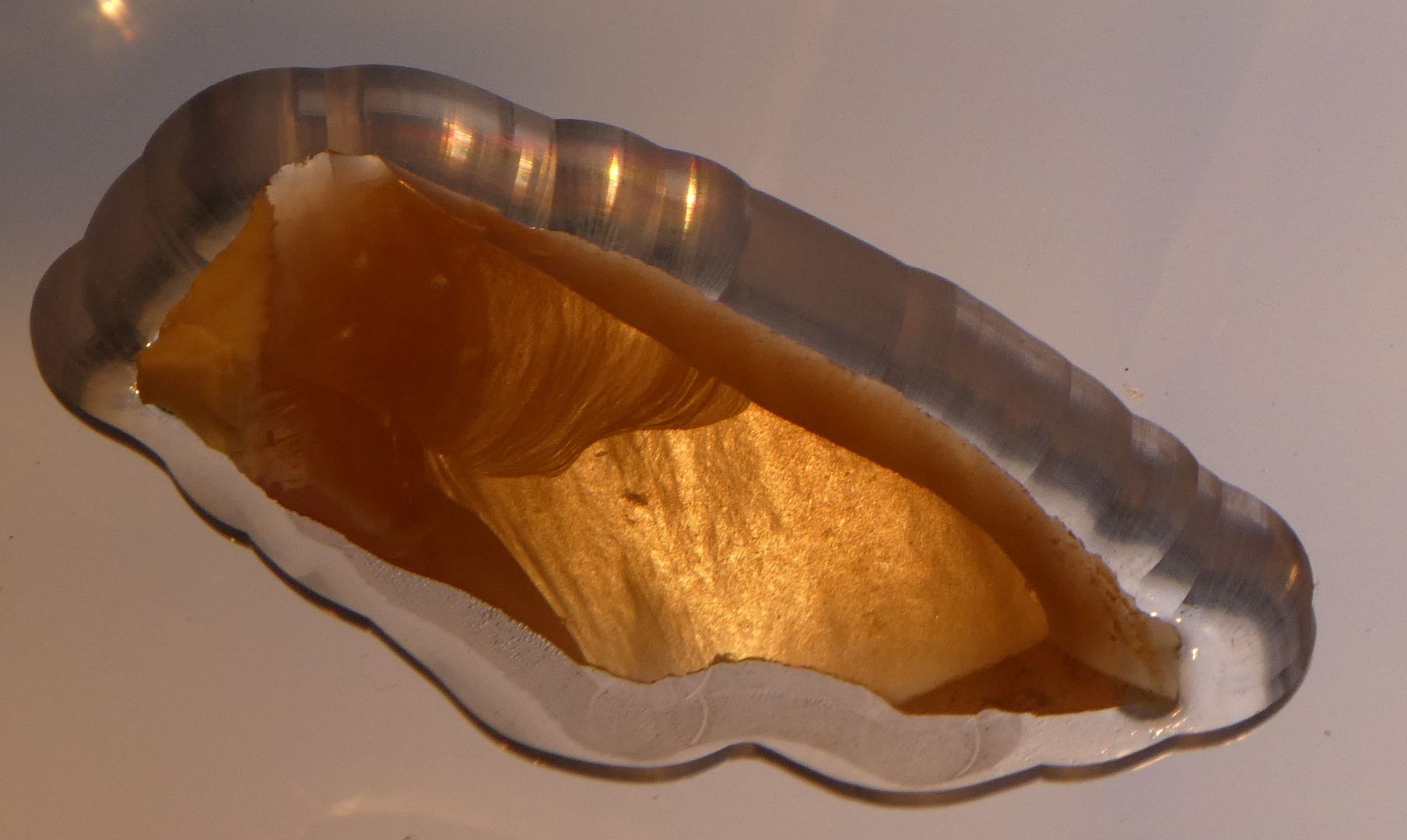 Ancient America The RicheyRoberts Clovis site (museum tour)